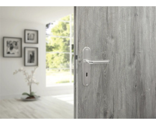 Porte intérieure avec garniture de poignée dans une pièce lumineuse