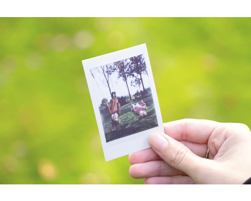 Eine Hand hält ein Sofortbild mit zwei Kindern auf Schaukeln vor einem unscharfen, grünen Hintergrund.