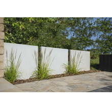 Gartenanlage mit Sichtschutzwänden, Ziergräsern und Pflastersteinen