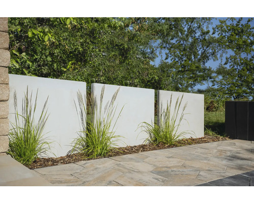 Scène avec clôture de jardin en béton, graminées ornementales et pavés