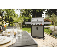 Barbecue à gaz dans le jardin avec table et plantes