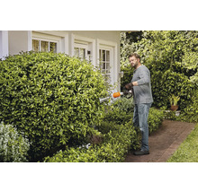 Un homme taille une haie avec un taille-haie dans un jardin.