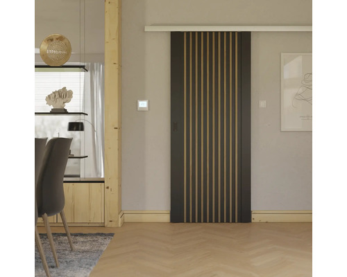 Schiebetürblatt LAMELLO FUSION PRO 02 Kiefer lackiert schwarz 950x2030 mm für Beschlag Selir Links/Rechts