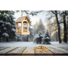 Wintervogelfutter Winterspass Fettfutter 25 kg