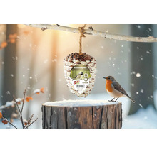 Nourriture d'hiver pour oiseaux : pomme de pin géante avec garniture naturelle