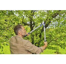 Un homme utilise un ébrancheur dans le jardin pour couper des branches.