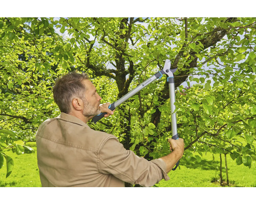 Un homme utilise un ébrancheur dans le jardin pour couper des branches.