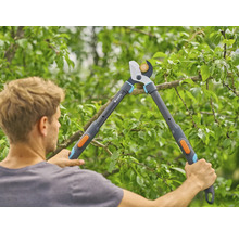 Mann schneidet Äste mit einer Gartenschere