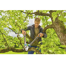 Mann schneidet Baumäste mit einer Astschere