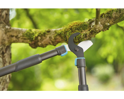 Élagueuse en utilisation sur une branche d''arbre