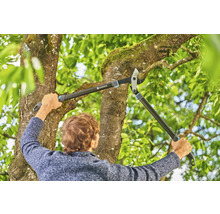 Eine Person benutzt eine Getriebe-Astschere zum Beschneiden eines Baumes.