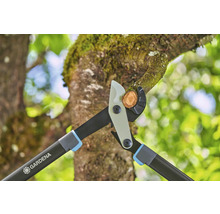 Gardena Astschere schneidet einen Ast