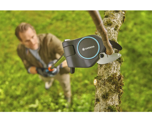 Mann schneidet Ast mit einer Gardena Astschere