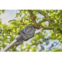 Gartenschere mit Stiel zum Schneiden von Ästen in einem Baum