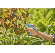 Sécateur utilisé pour tailler des plantes