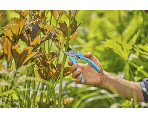 Sécateur utilisé pour tailler des plantes