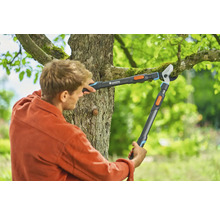 Un homme coupe des branches d''arbre avec une cisaille à crémaillère de Gardena.