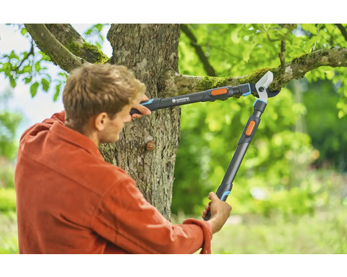 Un homme coupe des branches d''arbre avec une cisaille à crémaillère de Gardena.