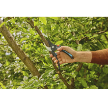 Une main coupe une branche avec un sécateur.