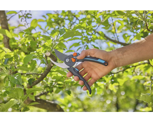 Gartenschere im Einsatz an einem Baum