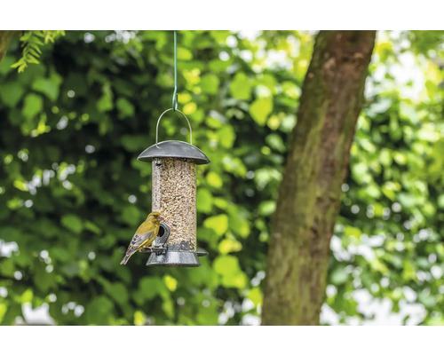 Vogelfutterspender mit Futter und einem Vogel