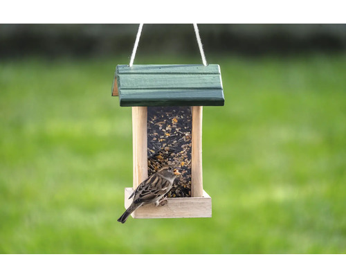 Vogelhaus mit Futter und einem Spatz.
