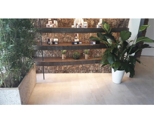 Dekorative Regale mit Pflanzen und Pflegeprodukten in einem hellen Raum.