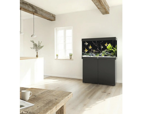 Aquarium noir avec poissons et meuble bas dans le salon