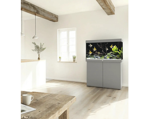 Aquarium gris avec meuble bas dans une pièce lumineuse avec poissons et plantes