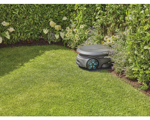 Rasenmähroboter auf Rasenfläche neben Büschen und Blumen