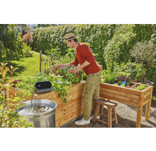 Un homme récolte des tomates dans un potager surélevé avec un système d''irrigation dans le jardin.