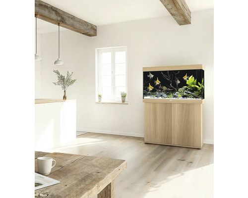 Aquarium aménagé avec meuble bas dans une pièce à vivre lumineuse.