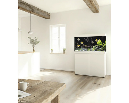 Espace de vie avec aquarium sur une armoire et poissons