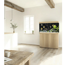 Aquarium mit Fischen, Pflanzen und Unterschrank in einem hellen Raum
