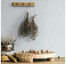 Dekorative Szene mit Holzhocker, Kräutern und Nüssen.