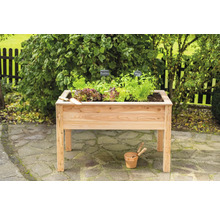 Jardinière surélevée en bois avec salade et herbes aromatiques dans le jardin