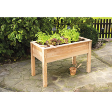 Jardinière surélevée en bois avec salade et herbes aromatiques dans le jardin