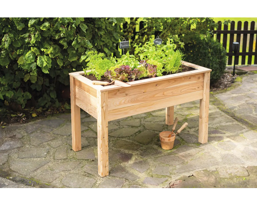 Jardinière surélevée en bois avec salade et herbes aromatiques dans le jardin