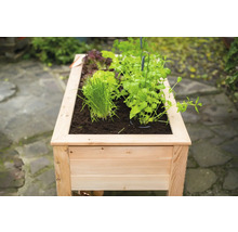 Jardinière surélevée en bois avec diverses herbes et salades
