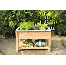 Jardinière surélevée en bois avec herbes aromatiques et accessoires de jardinage