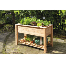 Jardinière en bois avec herbes et légumes dans le jardin.