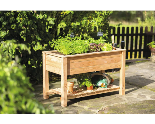 Jardinière surélevée sur pilotis WESTMANN Emily avec tablette 120 x 65 x 75 cm naturel Jardinière sur pieds en bois avec des plantes dans le jardin