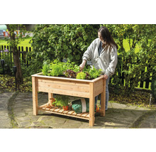 Femme jardine dans un potager surélevé en bois avec des herbes et de la salade dans le jardin