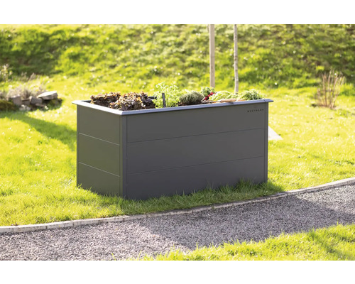 Jardinière surélevée en métal avec légumes et herbes aromatiques dans le jardin