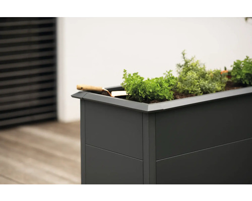 Jardinière surélevée avec plantes et pelle