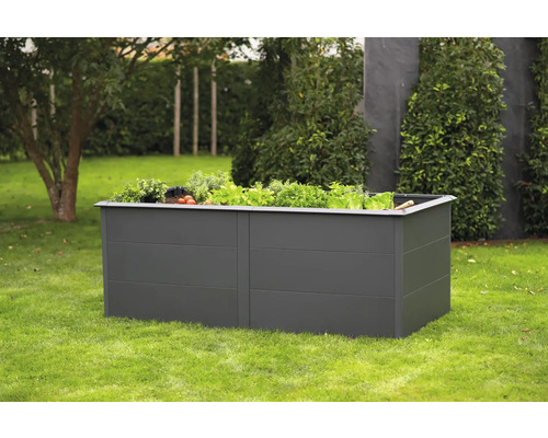 Jardinière surélevée classique WESTMANN Primus Taille XL 200 x 100 x 77 cm anthracite Jardinière surélevée en métal avec des plantes sur une pelouse