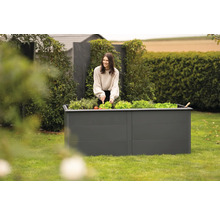 Une femme récolte de la salade dans un potager surélevé dans le jardin.