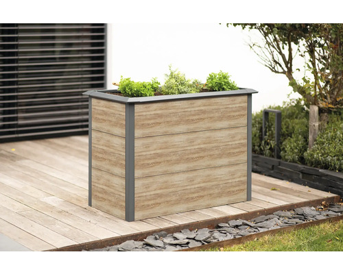 Jardinière surélevée classique WESTMANN Primus-Multi avec protection contre les escargots Taille M 100 x 50 x 77 cm aspect bois Jardinière aspect bois à l''extérieur avec des plantes