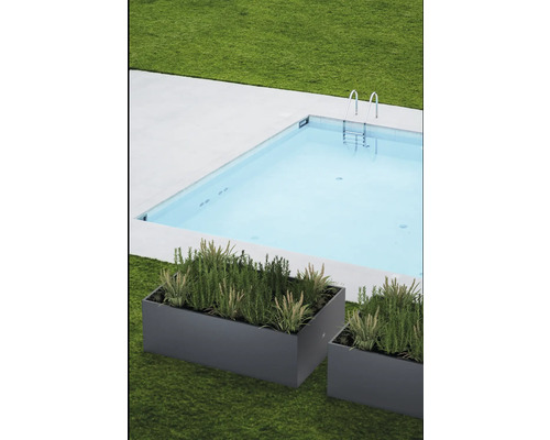 Piscine avec plantes en bacs à fleurs