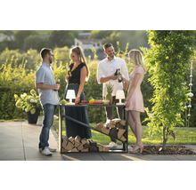 Gartenszene mit Holzlager, Tisch und vier Personen, die Getränke genießen